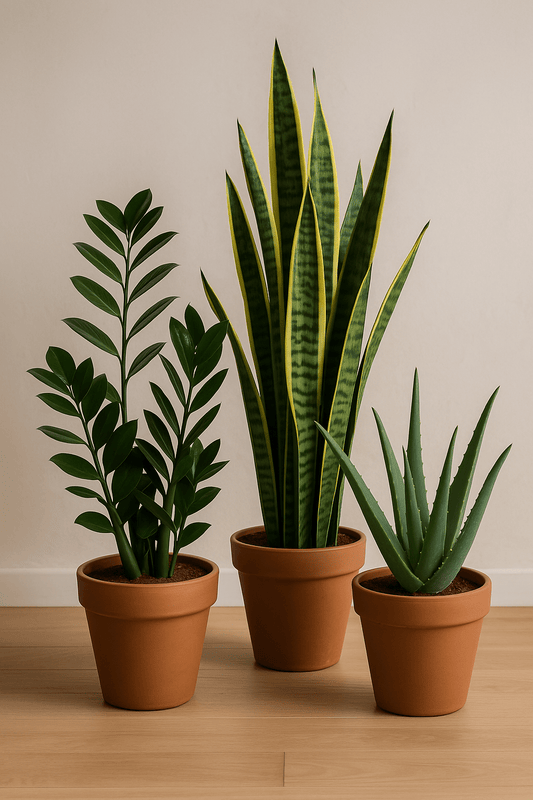 3 planten die zelfs jij niet dood kan laten gaan! - Effortless Living